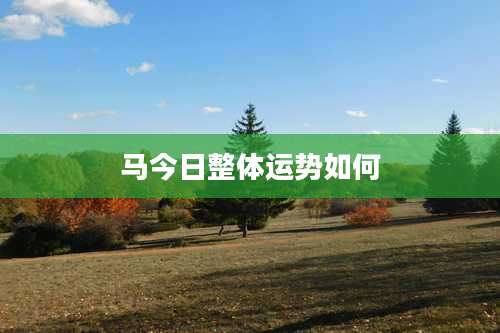 马今日整体运势如何