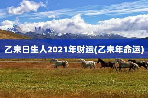 乙未日生人2021年财运(乙未年命运)