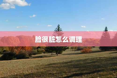 脸很脏怎么调理