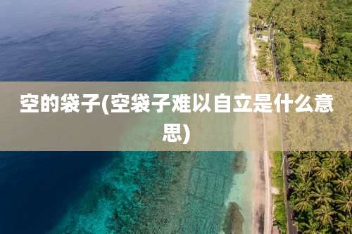 空的袋子(空袋子难以自立是什么意思)