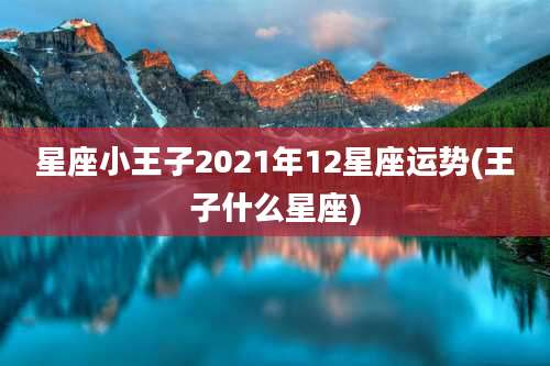 星座小王子2021年12星座运势(王子什么星座)
