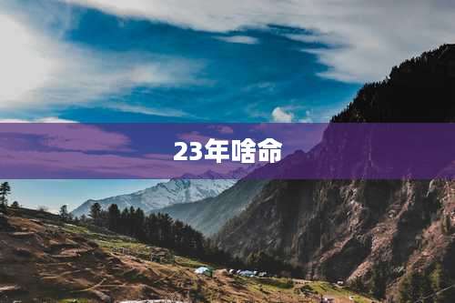 23年啥命