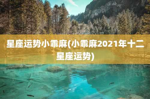 星座运势小乖麻(小乖麻2021年十二星座运势)