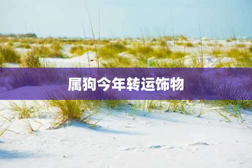 属狗今年转运饰物