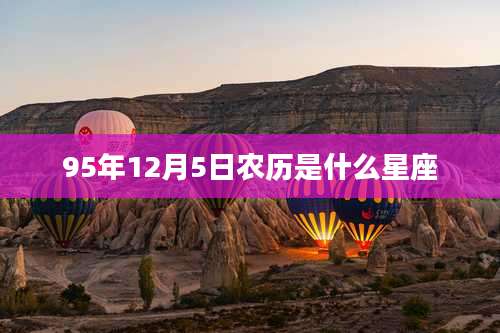 95年12月5日农历是什么星座