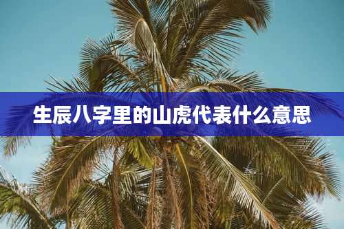 生辰八字里的山虎代表什么意思