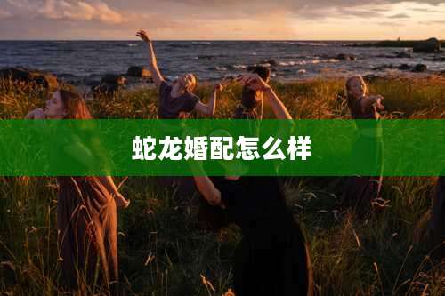 蛇龙婚配怎么样