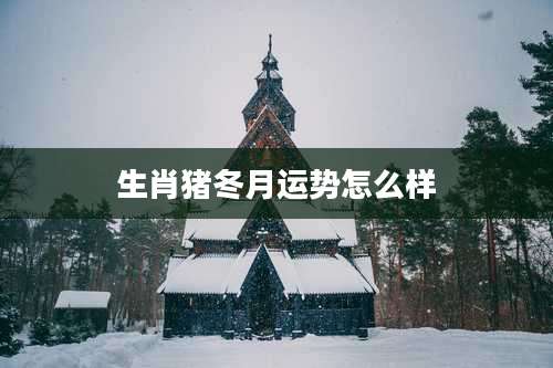 生肖猪冬月运势怎么样