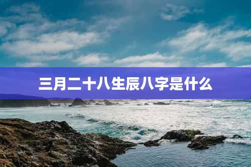 三月二十八生辰八字是什么