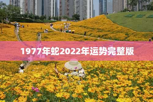 1977年蛇2022年运势完整版