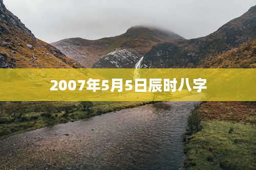 2007年5月5日辰时八字