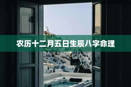 农历十二月五日生辰八字命理