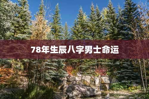 78年生辰八字男士命运