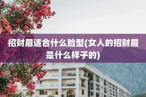 招财眉适合什么脸型(女人的招财眉是什么样子的)