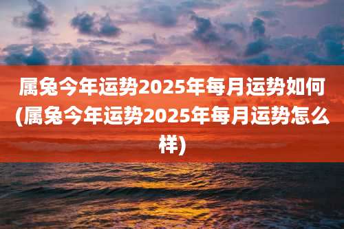 属兔今年运势2025年每月运势如何(属兔今年运势2025年每月运势怎么样)