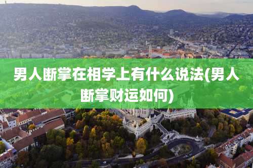 男人断掌在相学上有什么说法(男人断掌财运如何)