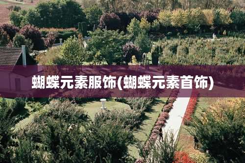 蝴蝶元素服饰(蝴蝶元素首饰)