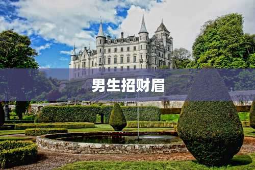 男生招财眉