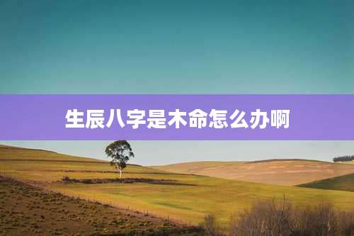生辰八字是木命怎么办啊