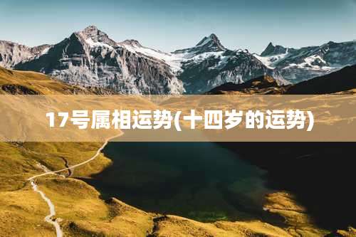 17号属相运势(十四岁的运势)