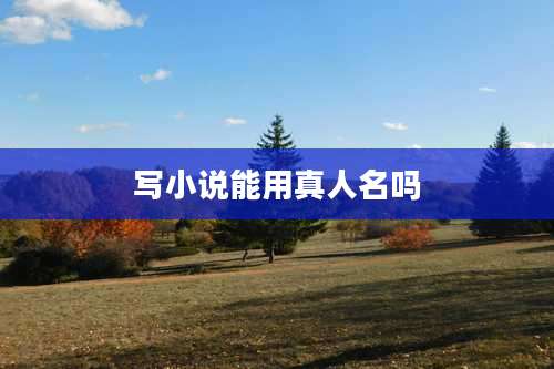 写小说能用真人名吗
