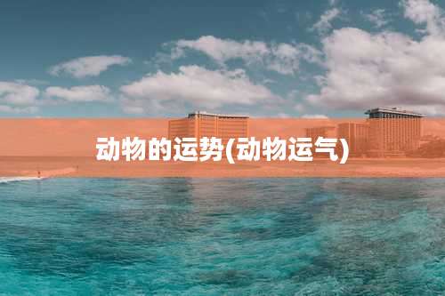 动物的运势(动物运气)