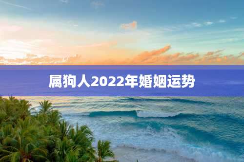 属狗人2022年婚姻运势
