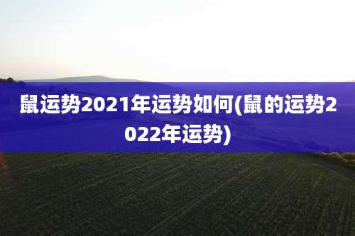 鼠运势2021年运势如何(鼠的运势2022年运势)
