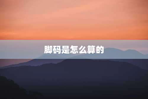 脚码是怎么算的