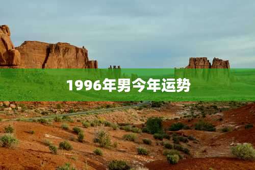 1996年男今年运势