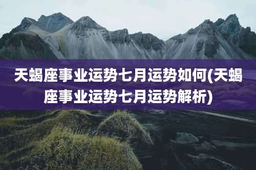 天蝎座事业运势七月运势如何(天蝎座事业运势七月运势解析)