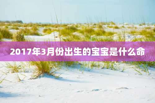 2017年3月份出生的宝宝是什么命