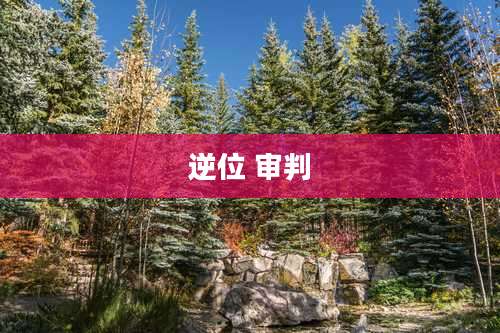 逆位 审判