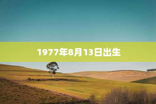1977年8月13日出生