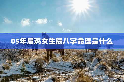 05年属鸡女生辰八字命理是什么