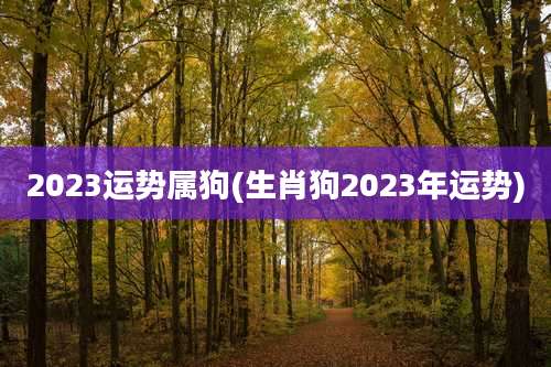 2023运势属狗(生肖狗2023年运势)