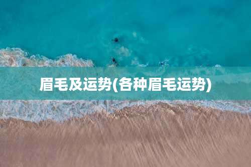 眉毛及运势(各种眉毛运势)
