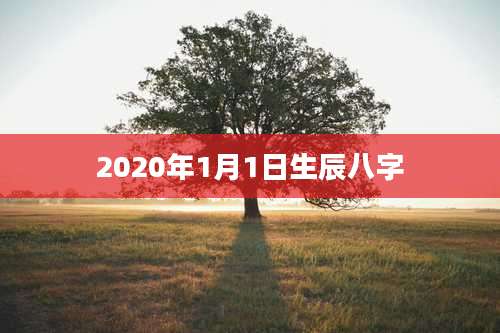2020年1月1日生辰八字