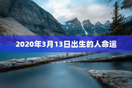 2020年3月13日出生的人命运