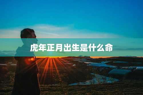 虎年正月出生是什么命