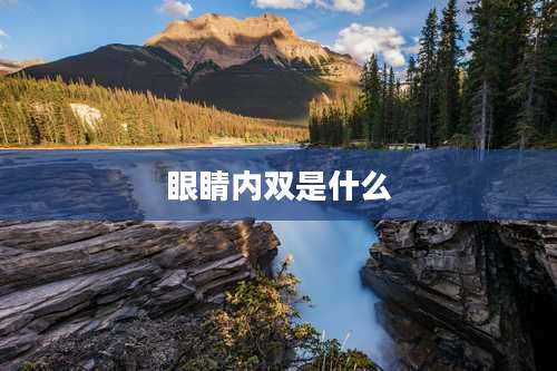 眼睛内双是什么