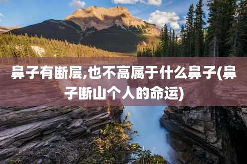 鼻子有断层,也不高属于什么鼻子(鼻子断山个人的命运)