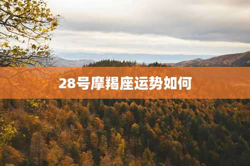 28号摩羯座运势如何