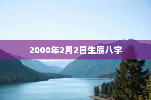 2000年2月2日生辰八字