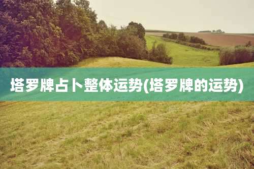 塔罗牌占卜整体运势(塔罗牌的运势)