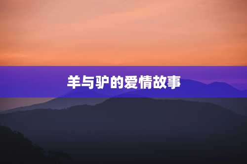 羊与驴的爱情故事