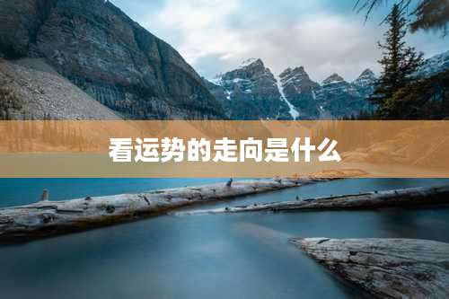 看运势的走向是什么