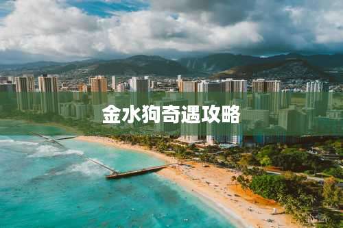 金水狗奇遇攻略