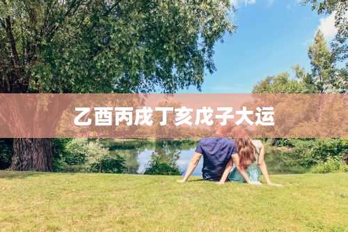 乙酉丙戌丁亥戊子大运