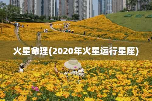 火星命理(2020年火星运行星座)